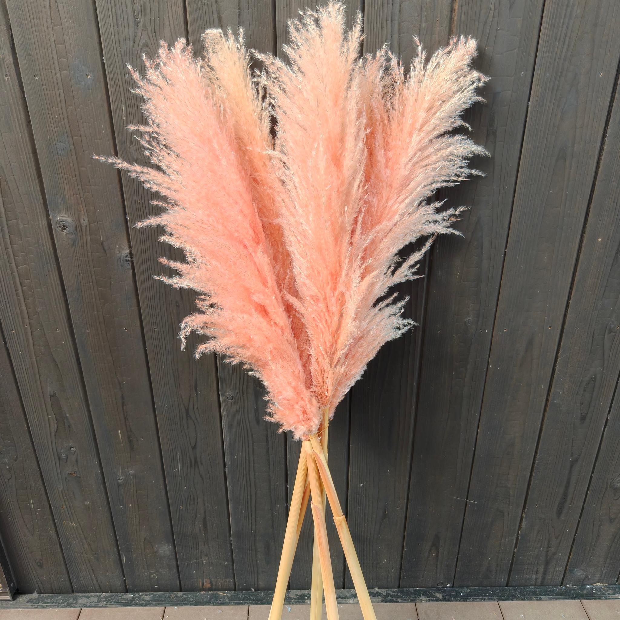 今季！暖色系の秋冬パンパスグラス  新築祝いドライフラワー インテリア ウェディング　即納クリスマス2025 | 9枚目